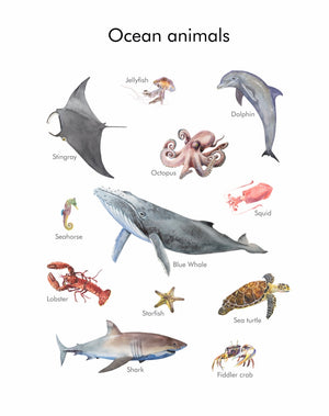 Ocean Animals Poster (PDF file only)