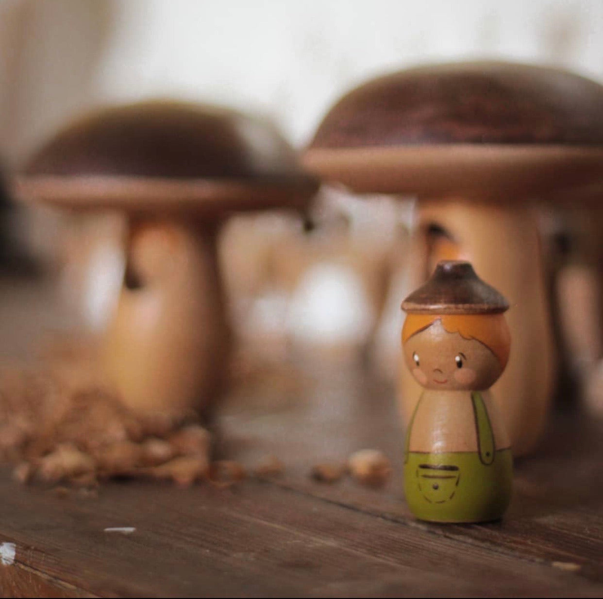Mushroom House with Acorn Doll