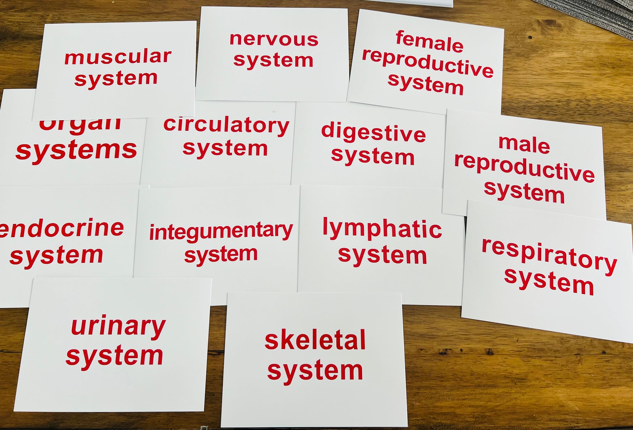 Right Brain Flashcards