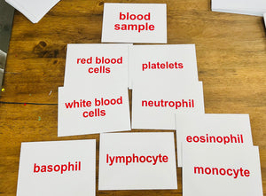 Right Brain Flashcards