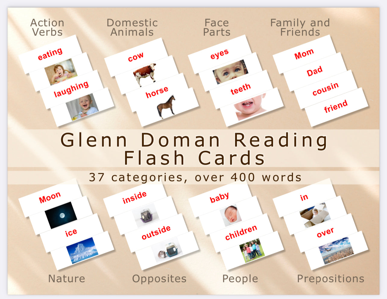 Doman Reading Cards