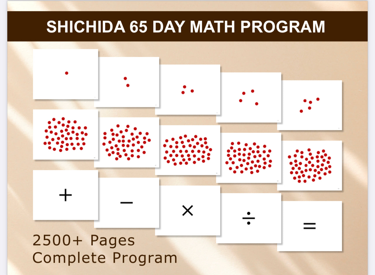 Shicida 65 day Math Program