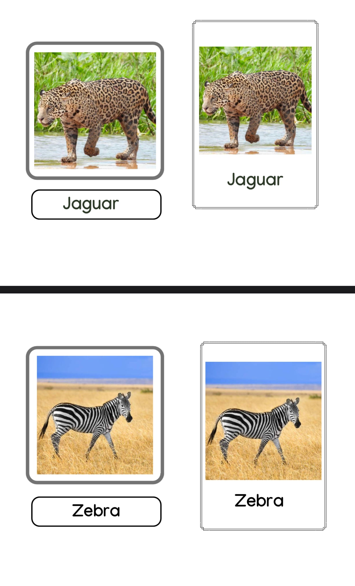 Animal Prints Montessori Cards (downloadable file)
