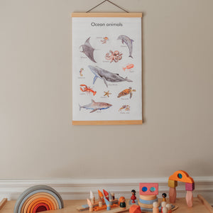 Ocean Animals  Poster (physical product)