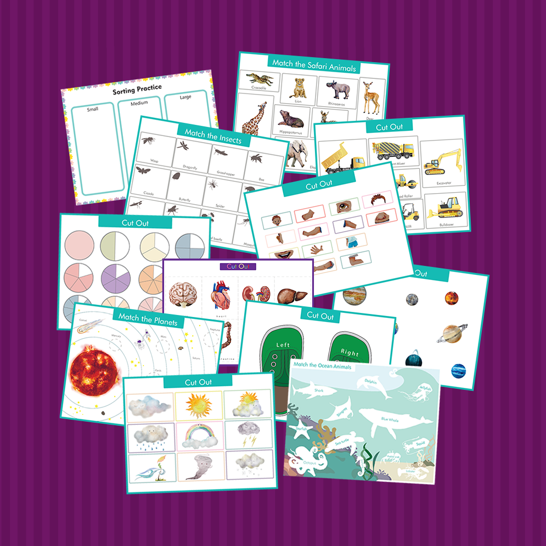 Preschool Learn and Play Binder (downloadable file only)