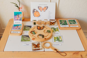 Butterfly Bundle 3 Part Card (pdf download only)