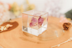 Orchid Purple Cube (Free Shipping)