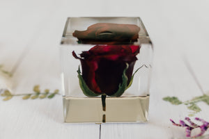 Red Rose Cube (Free Shipping)