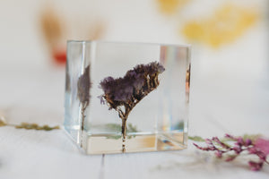 Forget me not Cube (Free Shipping)