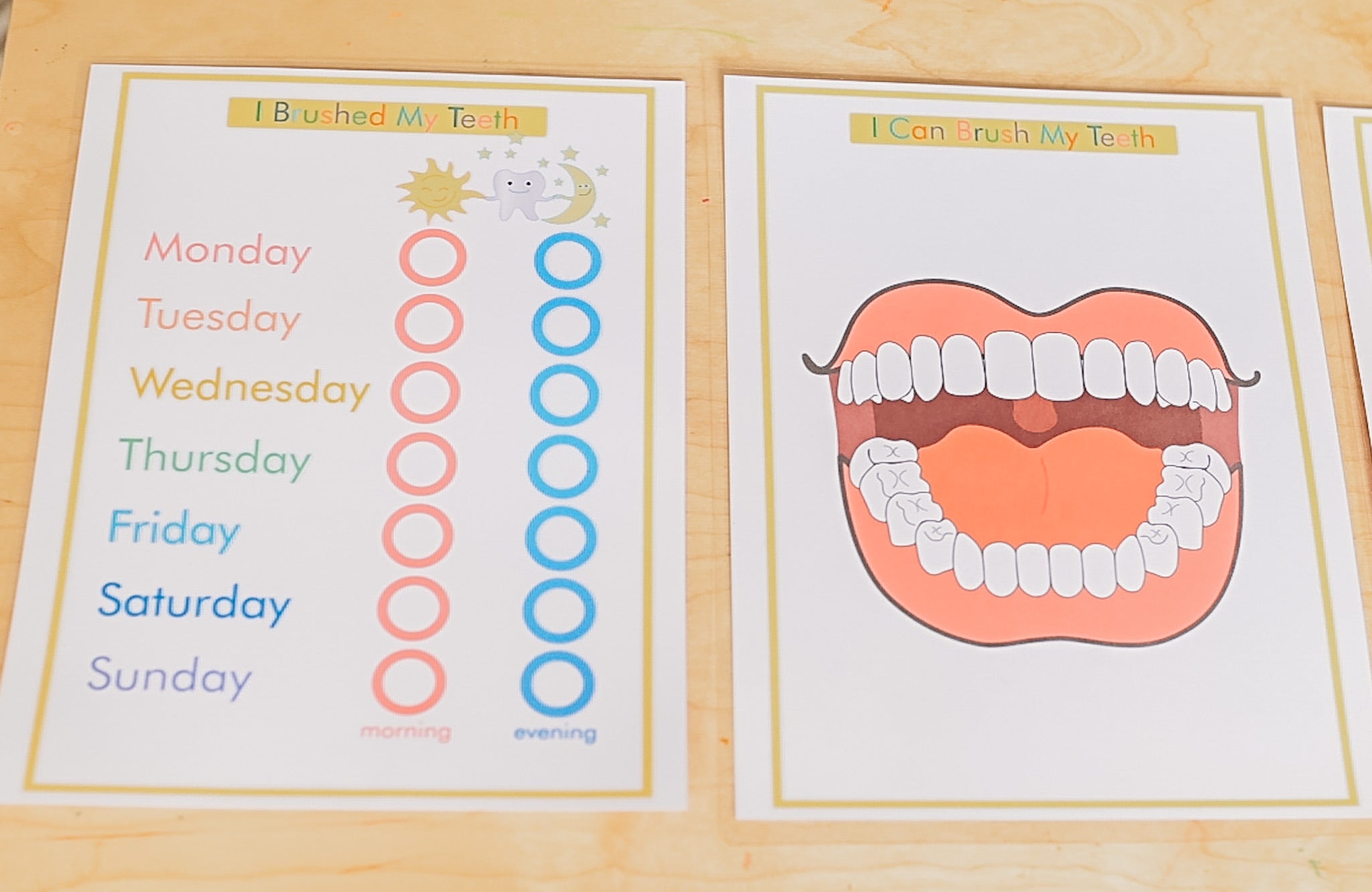 Brushing Teeth Activity   (PDF File only)