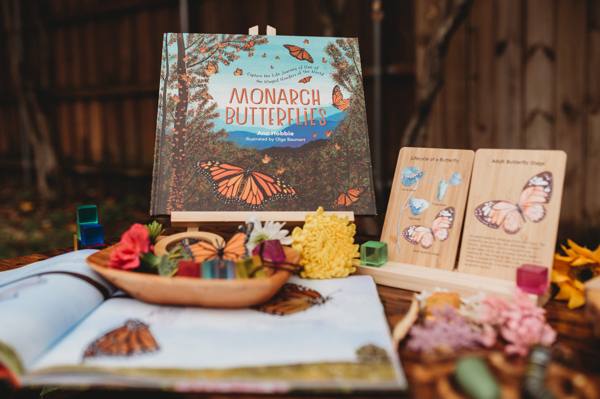 Monarch Butterflies Book by Ann Hobbie
