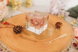 Straw Flower Light Pink  Cube (Free Shipping)