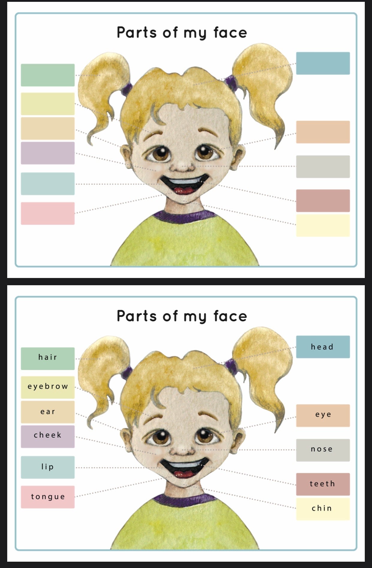 Parts of my Face  (PDF File only)