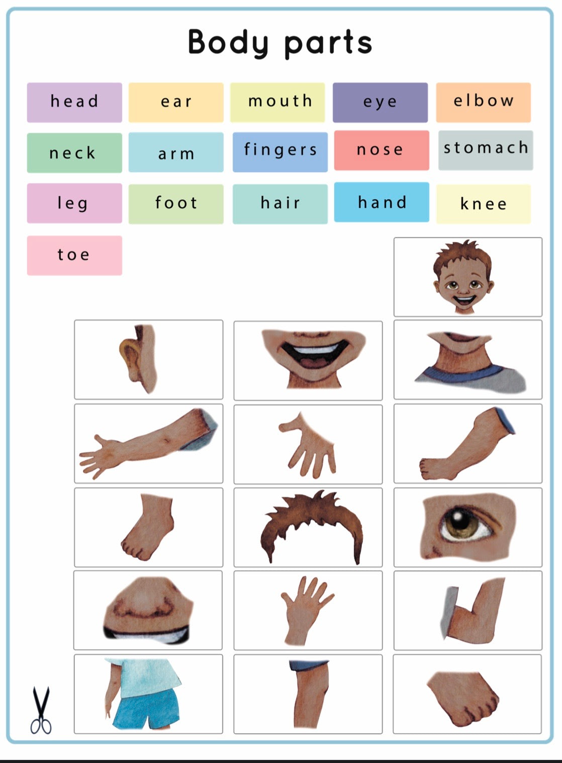 My Body Parts  (PDF File only)