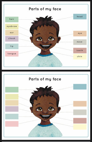 Parts of my Face  (PDF File only)