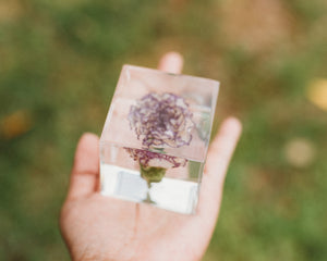 Carnation Cube (Free Shipping)