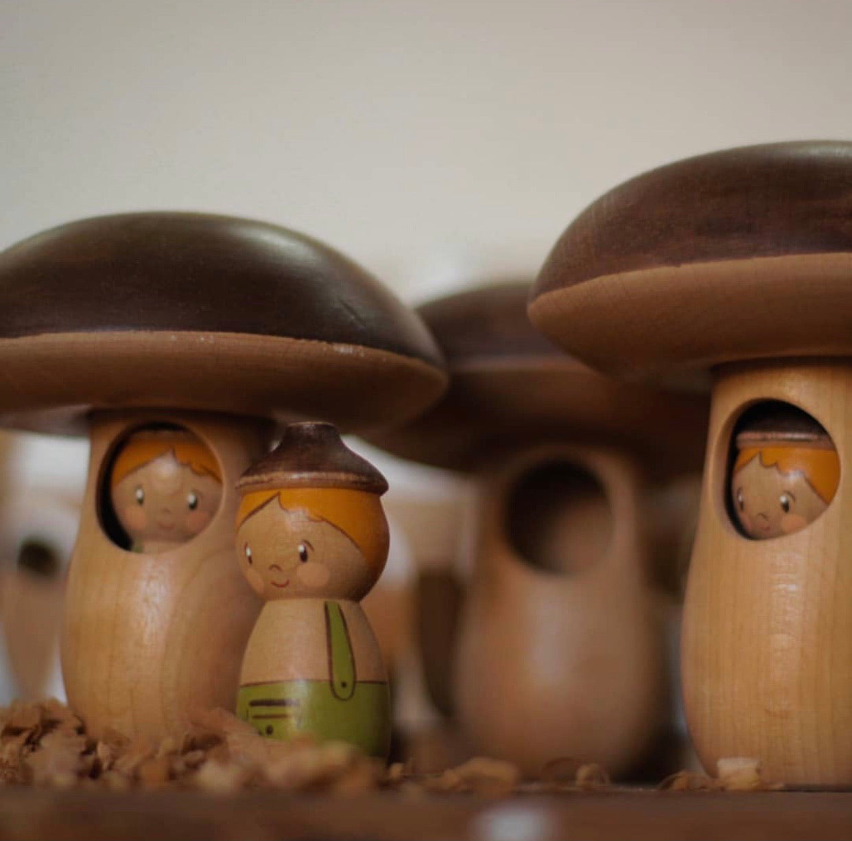 Mushroom House with Acorn Doll