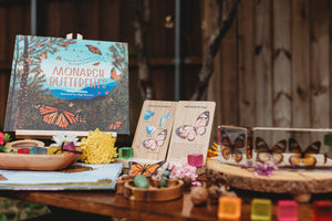Monarch Butterflies Book by Ann Hobbie