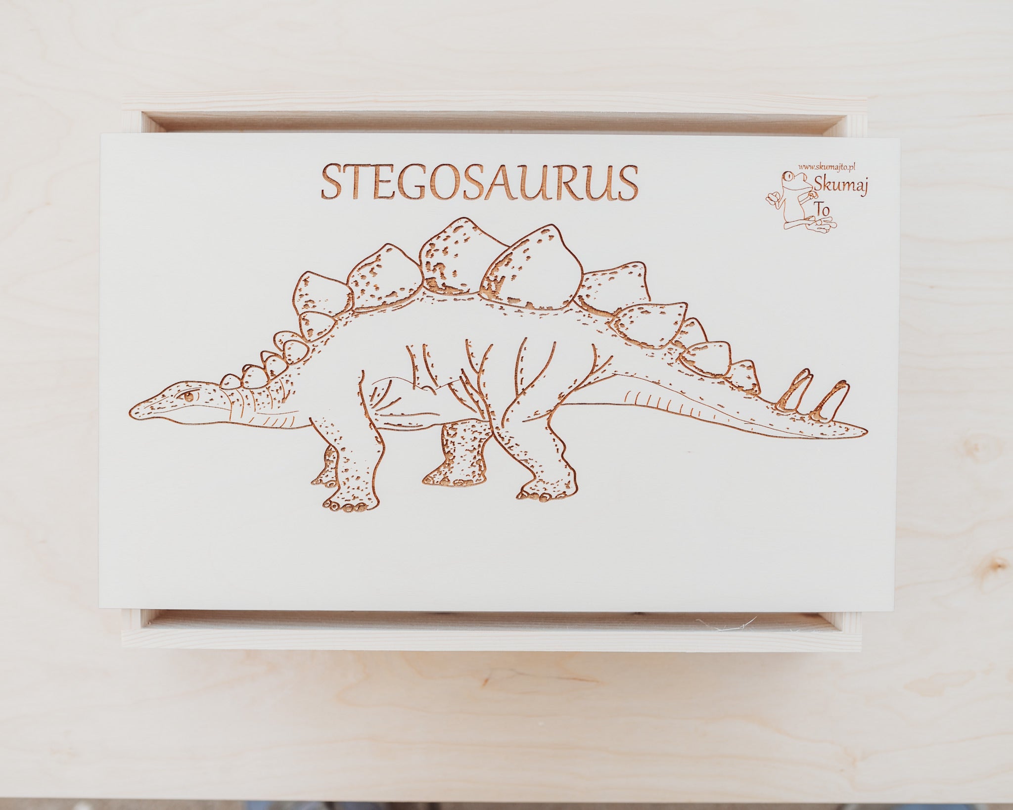 Stegosaurus Paleontologist Kit