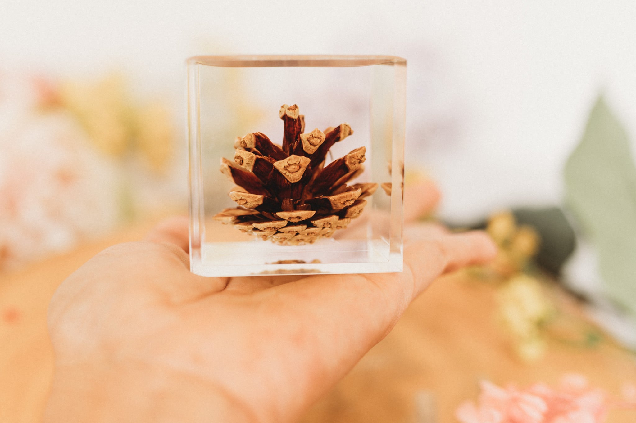 Pine Cone Cube (Free Shipping)