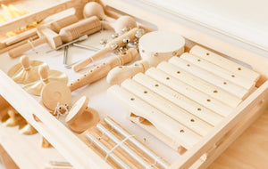 Percussion Instrument Set (11 instruments) free shipping