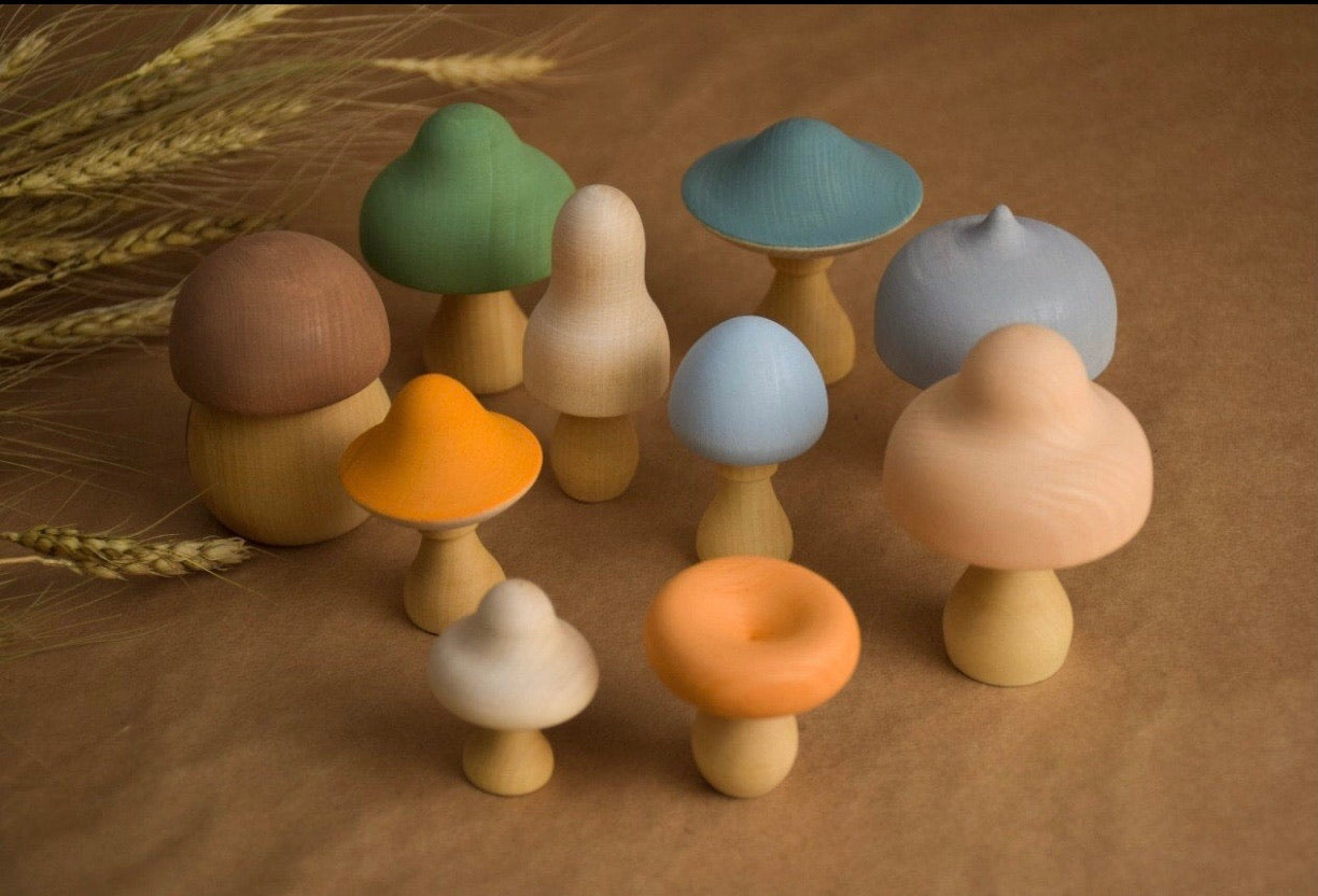 Mushroom (10 pieces)