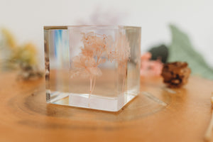 Hydrangea Pink Cube (Free Shipping)