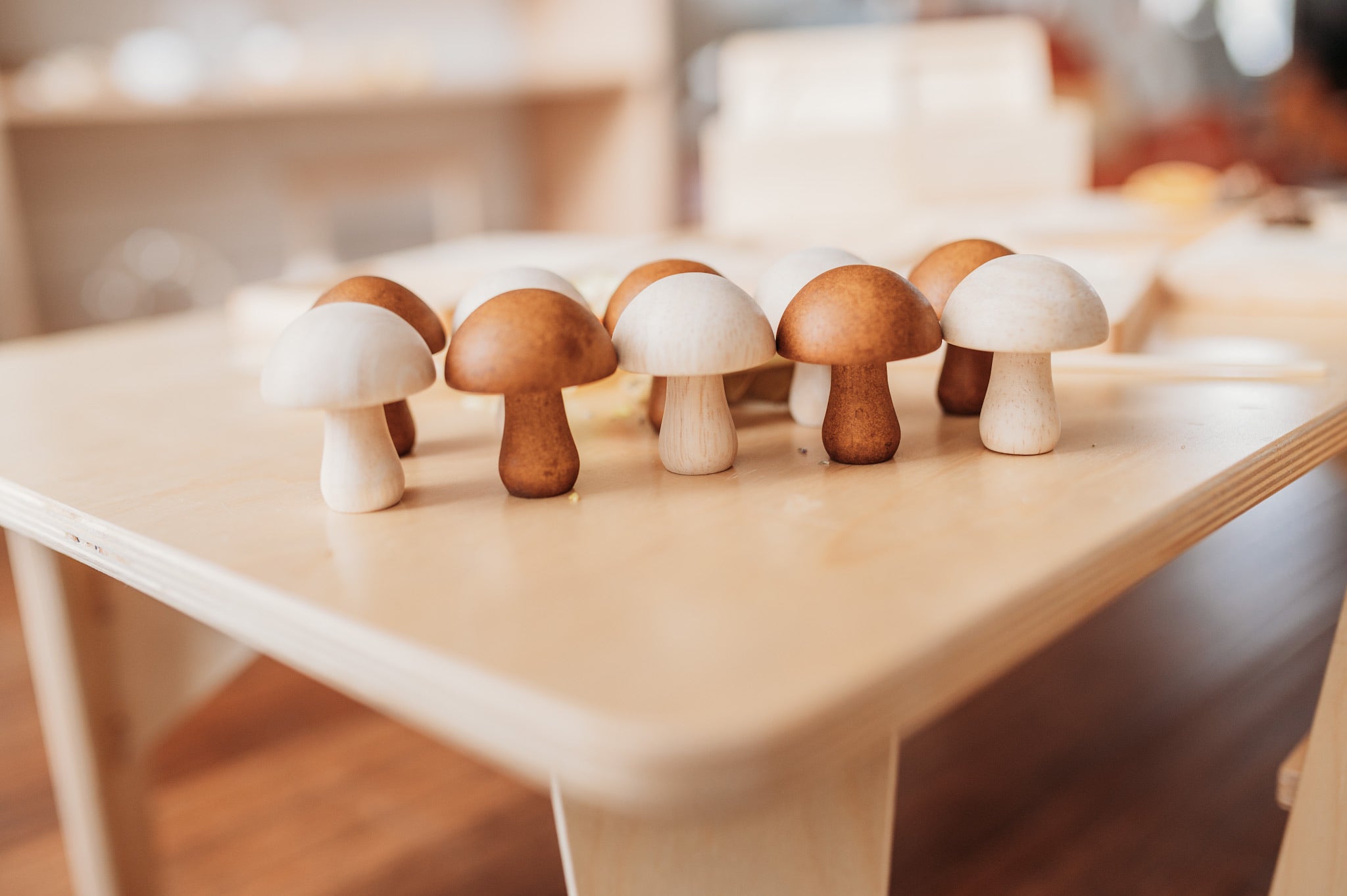 Mushrooms set of 10